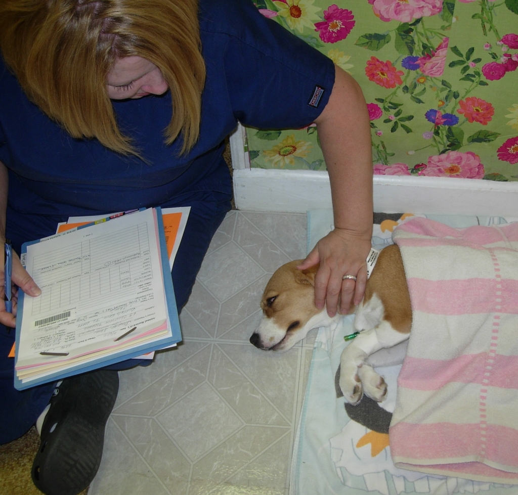 Like humans, sometimes a pet is confused when they wake up.  A gentle touch can help reassure them.