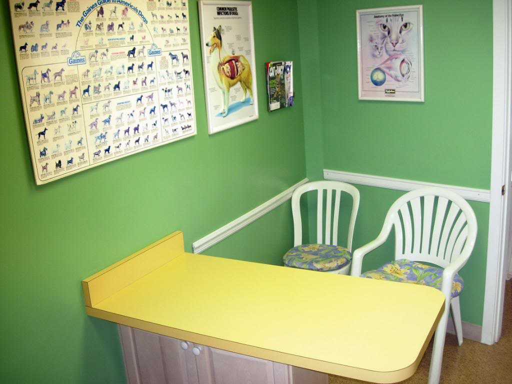 Our chairs are also light and easy to move, in case of shy patients hiding under them.... Our chairs are also light and easy to move, in case of shy patients hiding under them....