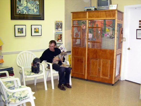 Dr. Block's dog, Charlie, says Hi! to Steven and his dog Lizzie