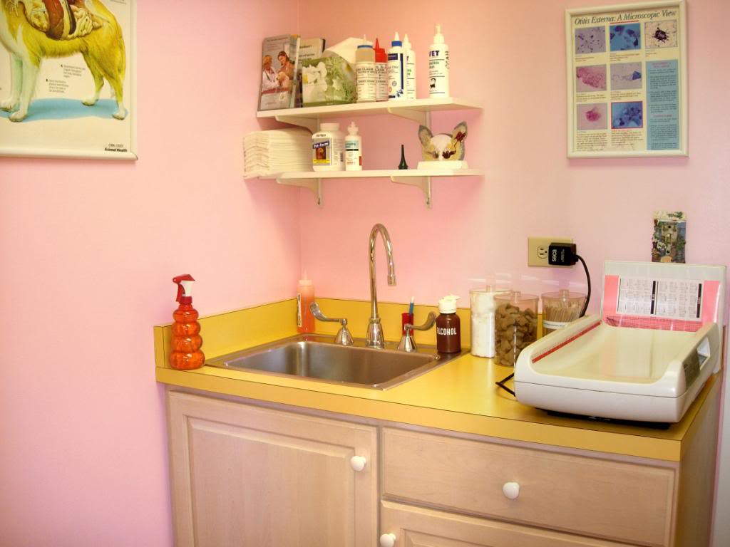 The first time we painted this room pink, it came out VERY pink, earning a nickname of the Pepto-Bismol Room until we could repaint it!