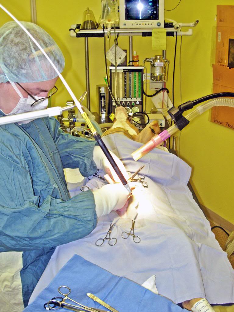 Dr. Dornhoff in Surgery