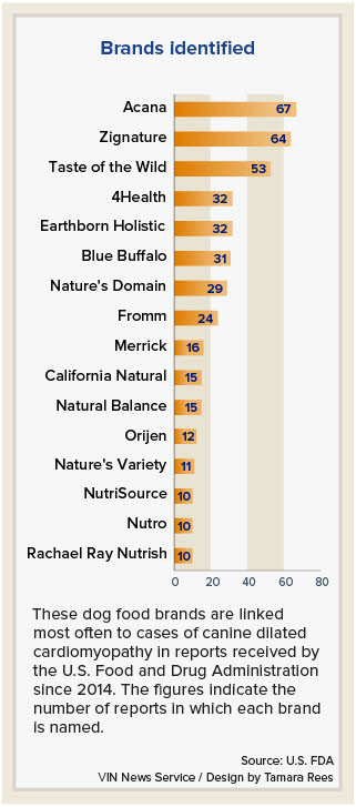 Grain Free Brands Causing Issues