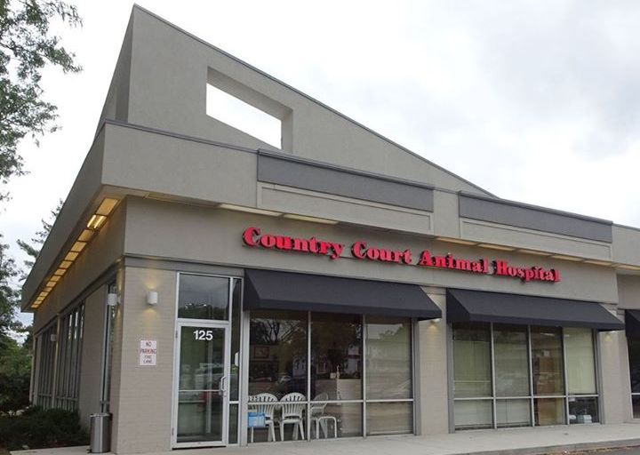 Country Court Animal Hospital, helping pets and their families from Buffalo Grove, Wheeling, and Arlington Heights for over 20 years